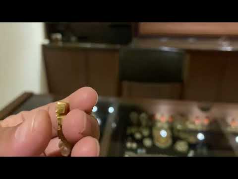 Navranga Earrings