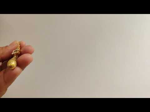 Aamras Fish Hook Earrings